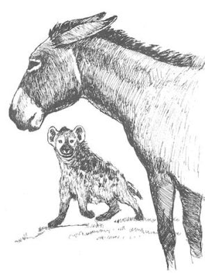  The Donkey and the Hyena - A Whimsical Tale of Ethiopian Cunning!