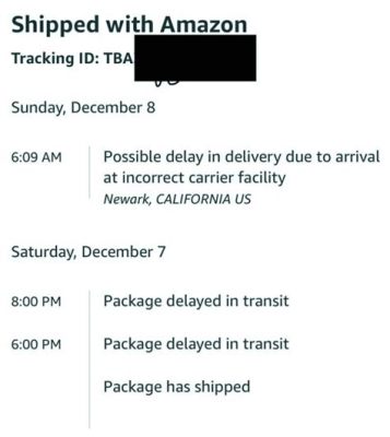 What Happens If Amazon Package Is Stolen: A Journey Through the Absurd and the Practical