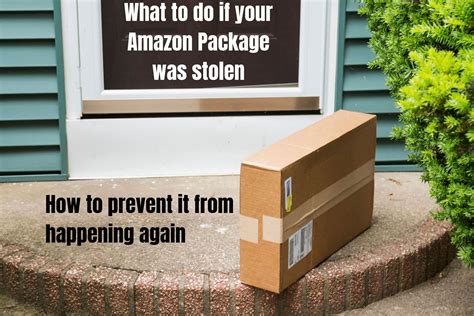 What Happens If My Amazon Package Is Stolen? And Why Do Squirrels Love Cardboard Boxes?