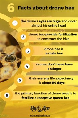 What is a Drone Bee's Job? Exploring the Intriguing Role of Male Bees in the Hive