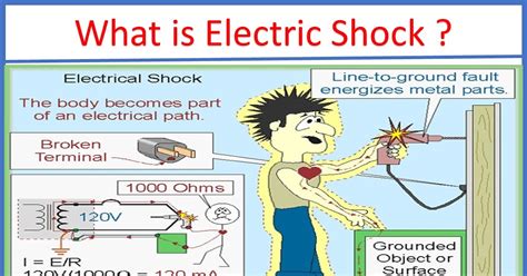 What is the Difference Between Electric Shock and Electrocution? And Why Do Bananas Conduct Electricity?