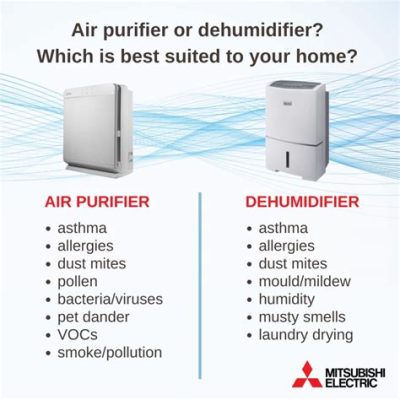 What's the Difference Between a Dehumidifier and an Air Purifier, and Why Do Cats Always Land on Their Feet?